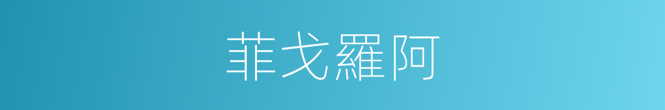 菲戈羅阿的同義詞
