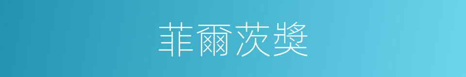 菲爾茨獎的同義詞