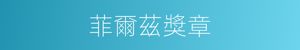 菲爾茲獎章的同義詞