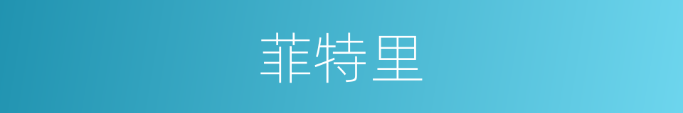 菲特里的同义词