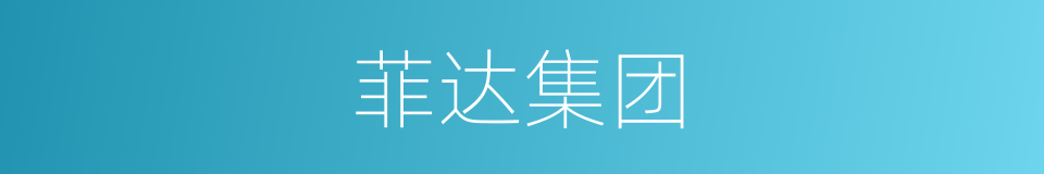 菲达集团的同义词