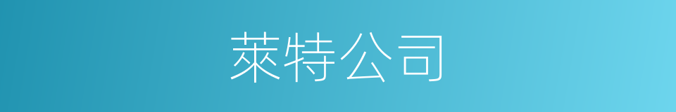 萊特公司的同義詞