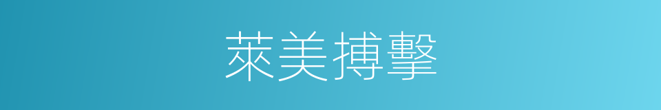 萊美搏擊的同義詞