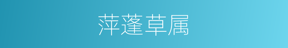 萍蓬草属的同义词