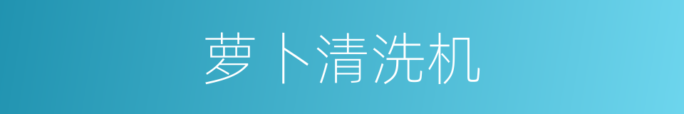萝卜清洗机的同义词