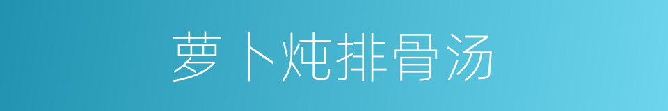 萝卜炖排骨汤的同义词