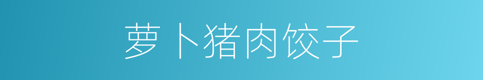 萝卜猪肉饺子的同义词