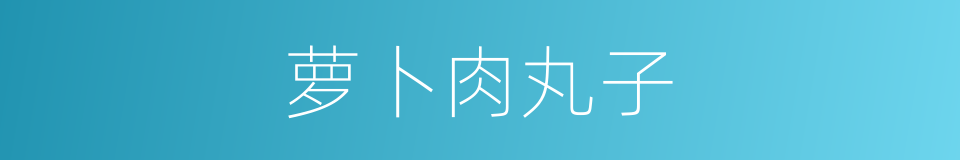 萝卜肉丸子的同义词