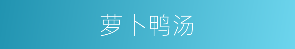 萝卜鸭汤的同义词
