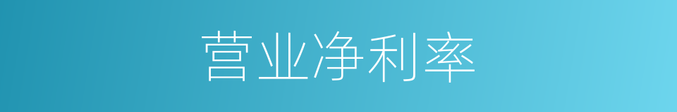 营业净利率的同义词