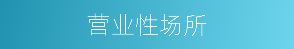 营业性场所的同义词