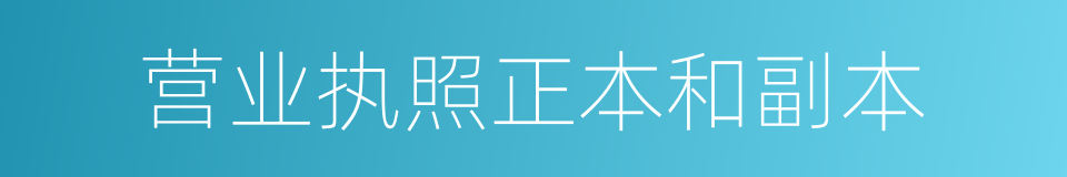 营业执照正本和副本的同义词