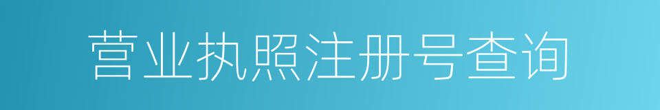 营业执照注册号查询的同义词