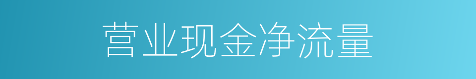 营业现金净流量的同义词