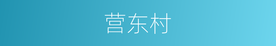 营东村的同义词