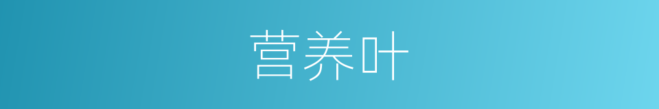 营养叶的同义词