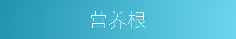 营养根的同义词