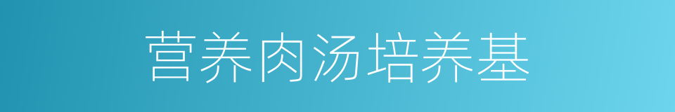 营养肉汤培养基的同义词