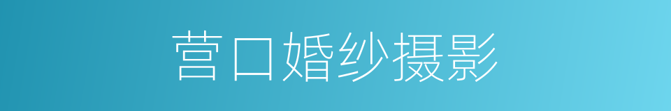 营口婚纱摄影的同义词