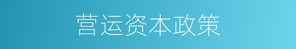 营运资本政策的同义词