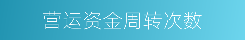 营运资金周转次数的同义词