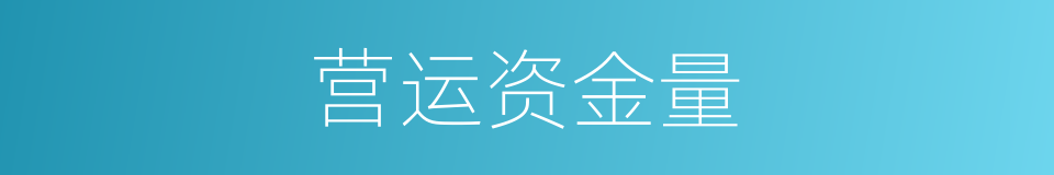 营运资金量的同义词