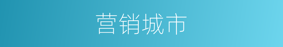 营销城市的同义词