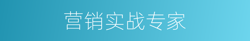 营销实战专家的同义词