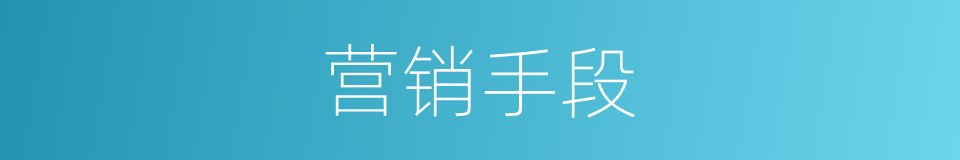 营销手段的同义词
