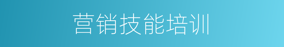 营销技能培训的同义词