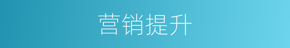 营销提升的同义词