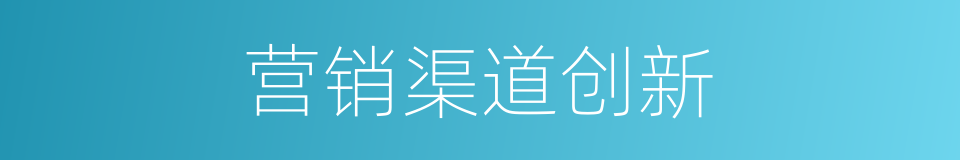 营销渠道创新的同义词