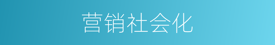 营销社会化的同义词