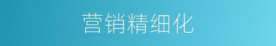 营销精细化的同义词