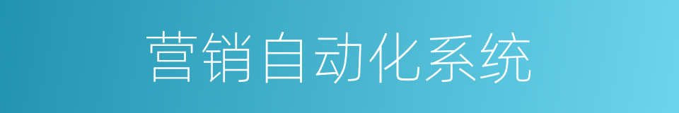 营销自动化系统的同义词