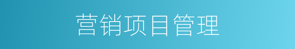 营销项目管理的同义词