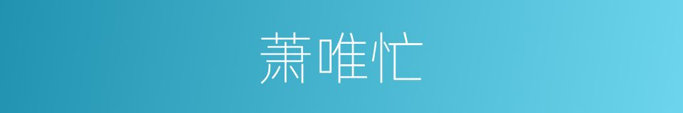 萧唯忙的同义词