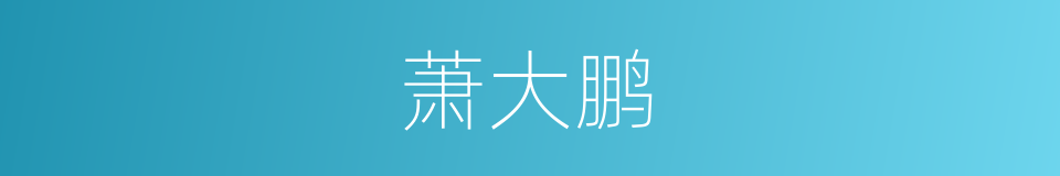 萧大鹏的同义词