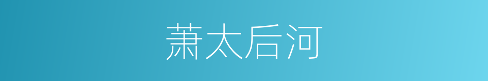 萧太后河的同义词