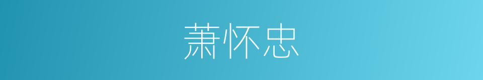 萧怀忠的同义词