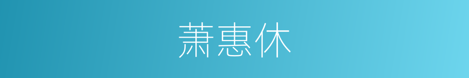 萧惠休的同义词