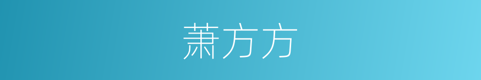 萧方方的同义词