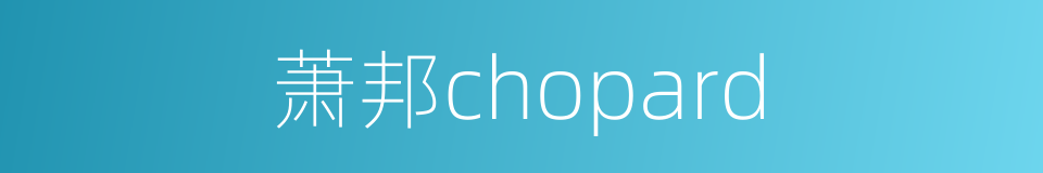 萧邦chopard的同义词