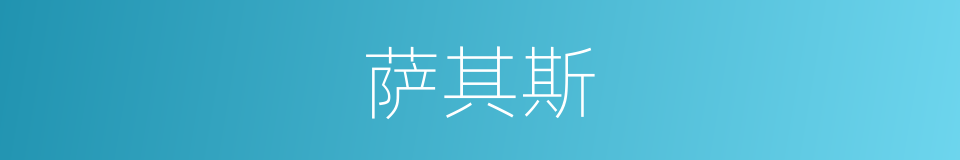 萨其斯的同义词
