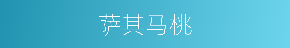 萨其马桃的同义词