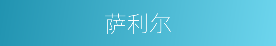 萨利尔的同义词