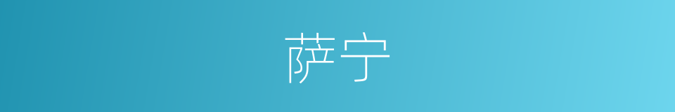 萨宁的同义词