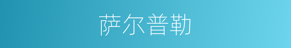 萨尔普勒的同义词