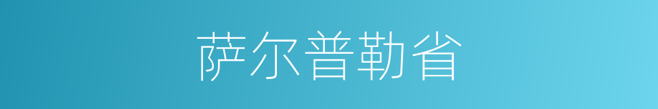 萨尔普勒省的同义词