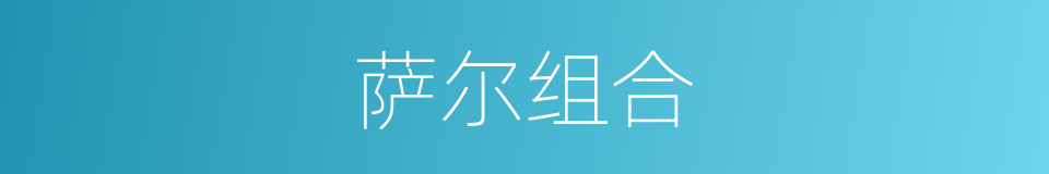 萨尔组合的同义词